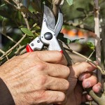 Felco 11 Κλαδευτήρι Γνήσιο 21cm Δ25mm για Δεξιόχειρες - Αυθεντικό Ψαλίδι Αντιπροσωπείας-Κλαδευτήρια