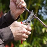 Felco 11 Κλαδευτήρι Γνήσιο 21cm Δ25mm για Δεξιόχειρες - Αυθεντικό Ψαλίδι Αντιπροσωπείας-Κλαδευτήρια