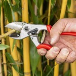 Felco 31 Anvil Secateurs Genuine Ergonomic 21cm D25mm - Official Dealership Pruners-Secateurs