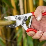 Felco 32 Curved Anvil Dry Wood Genuine Pruner 21cm D25mm Ergonomic - Official Dealership Pruners-Secateurs