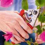Felco 15 Κλαδευτήρι Γνήσιο 18,9cm Δ18mm για Δεξιόχειρες - Αυθεντικό Ψαλίδι Αντιπροσωπείας-Κλαδευτήρια για Μικρά Χέρια