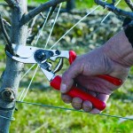 Felco 7 Κλαδευτήρι Γνήσιο Δ25mm με Περιστρεφόμενη Λαβή - Αυθεντικό Ψαλίδι Αντιπροσωπείας-Κλαδευτήρια