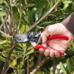 Felco 8 Right Handed Pruning Shears Genuine 21cm D25mm - Official Dealership Pruning Shears