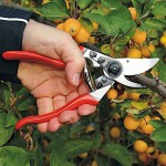 Felco 9 Left Handed Pruning Shears Genuine 21cm D25mm - Official Dealership Pruning Shears