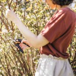 FISKARS PowerGear M P921 Xseries 20.1cm Bypass Pruner - Bypass Garden Pruners
