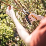 FISKARS PowerGear M P921 Xseries 20.1cm Bypass Pruner - Bypass Garden Pruners