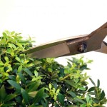 Bonsai Scissors 55mm OKATSUNE 201 Medium Model Bonsai Scissors 55mm OKATSUNE 201 Medium Model - Japanese Bonsai Scissors