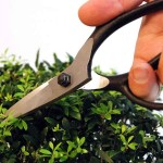 Bonsai Scissors 55mm OKATSUNE 201 Medium Model Bonsai Scissors 55mm OKATSUNE 201 Medium Model - Japanese Bonsai Scissors