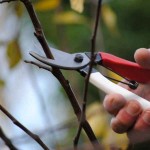OKATSUNE 103 20cm General Purpose Pruner-Bypass Pruners - Shears-Secateurs-Pruners