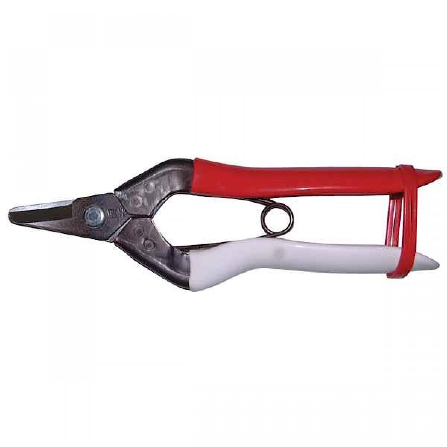 OKATSUNE 301 Harvest Shears With Curved Blade OKATSUNE 301 Harvest Shears With Curved Blade - Harvesting Vegetables and Fruits Shears