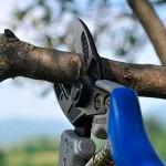Ψαλίδι Κλαδέματος Κήπου A4S VESCO 21cm Δ25mm Τύπου Anvil - Κλαδευτικά Ψαλίδια
