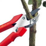 WOLF-Garten RS 22 Comfort Plus 22mm Anvil Secateur WOLF-Garten RS 22 Comfort Plus 22mm Anvil Secateur-Pruner - Shears-Secateurs-Pruners