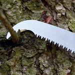 Felco 684 Κονταροπρίονο Γνήσιο Τηλεσκοπικό 2,3m-6,4m 39cm - Αυθεντικά Τηλεσκοπικά Κονταροπρίονα Αντιπροσωπείας