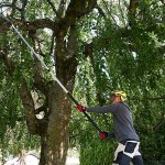 Felco 684 Κονταροπρίονο Γνήσιο Τηλεσκοπικό 2,3m-6,4m 39cm - Αυθεντικά Τηλεσκοπικά Κονταροπρίονα Αντιπροσωπείας