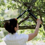 Fiskars Bypass Powergear™ Scissors (S) L70 46 cm Lopper - Pruning Loppers