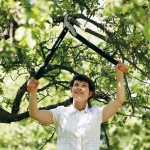 Fiskars Anvil Powergear™ (L) L77 68.6 cm Lopper Patented Mechanism - Pruning Loppers