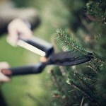 Ψαλίδα Μπορντούρας FISKARS 58cm Single Step HS22 Χειρός Ψαλίδα Μπορντούρας FISKARS 58cm Single Step HS22 Χειρός - Μπορντουροψάλιδα