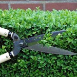 OKATSUNE 217 53.5cm Short Handled & Medium Bladed Hedge Shears - Hedge Shears-Manual Hedge Trimmers