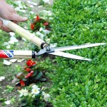 OKATSUNE 217 53.5cm Short Handled & Medium Bladed Hedge Shears - Hedge Shears-Manual Hedge Trimmers