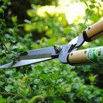 OKATSUNE 231 57cm Short Handled & Large Bladed Hedge Shears - Hedge Shears-Manual Hedge Trimmers