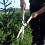 OKATSUNE 231 57cm Short Handled & Large Bladed Hedge Shears - Hedge Shears-Manual Hedge Trimmers