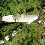 OKATSUNE 231 57cm Short Handled & Large Bladed Hedge Shears - Hedge Shears-Manual Hedge Trimmers