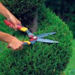 WOLF-Garten HS-B 41cm Manual Boxwood Hedge Shear WOLF-Garten HS-B 41cm Manual Boxwood Hedge Shear - Hedge Shears-Manual Hedge Trimmers