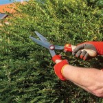 WOLF-Garten HS-BW Wooden Handle Hedge Shear 42cm - Hedge Shears-Manual Hedge Trimmers