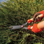 WOLF-Garten HS-BW Wooden Handle Hedge Shear 42cm - Hedge Shears-Manual Hedge Trimmers