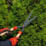 WOLF-Garten HS-WW Wood Handle Waved Hedge Shear - Hedge Shears-Manual Hedge Trimmers