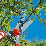HS 1000 T Telescopic Hedge Shear WOLF-Garten - Hedge Shears for Gardens