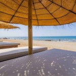Ανταλλακτικό Καπέλο Ομπρέλας Ψάθας Seagrass-Sol Δ220cm Φυσικού Θαλασσινού Χόρτου - Οικολογικές Ομπρέλες Ψάθας Θαλασσινών Χορταριών