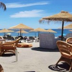 Ανταλλακτικό Καπέλο Ομπρέλας Ψάθας Seagrass-Sol Δ220cm Φυσικού Θαλασσινού Χόρτου - Οικολογικές Ομπρέλες Ψάθας Θαλασσινών Χορταριών
