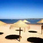 Ανταλλακτικό Καπέλο Ομπρέλας Ψάθας Seagrass-Sol Δ220cm Φυσικού Θαλασσινού Χόρτου - Οικολογικές Ομπρέλες Ψάθας Θαλασσινών Χορταριών