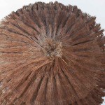 Beach Umbrella Natural Reiki Bush D220cm with Pole Ø8x300cm - Beach & Garden Umbrellas