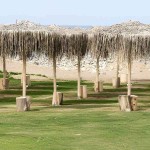 Ομπρέλα Παραλίας MAJORCA με Ραφτό Φοινικόφυλλο Δ300cm-Ø10x300cm Ιστός - Επαγγελματικές-Οικιακές Ομπρέλες Θαλάσσης