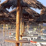 Beach Umbrella MEXICO with Makuti Roller D250cm-Ø8x300cm Pole - Beach & Garden Umbrellas