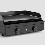 Ψησταριές Γκαζιού Σετ Πλατό ORIGIN G60 A Forge Adour