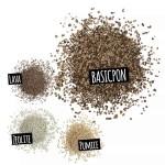 LECHUZA Basicpon Ανόργανο Υπόστρωμα Φύτευσης Για Ευαίσθητα Φυτά & Μοσχεύματα - Ανόργανα Υποστρώματα LECHUZA Basicpon Υπόστρωμα-Ευαίσθητα Φυτά & Μοσχεύματα
