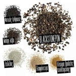 LECHUZA Blackstonepon Υπόστρωμα Φυτών Εσωτερικού Χώρου