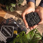LECHUZA Blackstonepon Υπόστρωμα Φυτών Εσωτερικού Χώρου