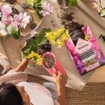 LECHUZA Orchidpon Οργανικό-Ορυκτό Υπόστρωμα Φύτευσης Ορχιδέας - Συσκευασμένα Φυτοχώματα & Υποστρώματα LECHUZA Orchidpon Υποστρώματα Φύτευσης για Ορχιδέες