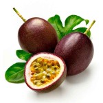 Passion Fruit (Passiflora edulis) Climbing Plant - Edible Vining Plants