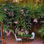Μπιγνόνια Κοντέσσα Σάρα (Podranea ricasoliana-συν. Bignonia 'Contessa Sara') Αναρριχώμενο Φυτό - Ανθοφόρα Αναρριχώμενα Φυτά