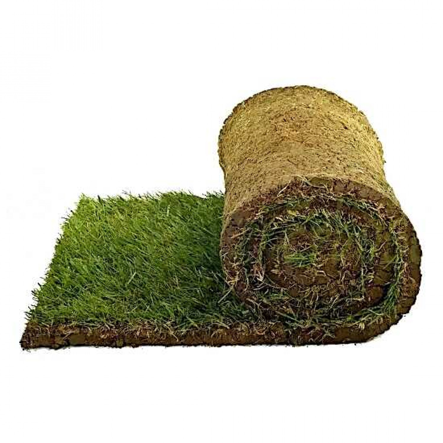 Turfgrass Rolls ATLANTAS Turfgrass Rolls ATLANTAS | kipogeorgiki.live