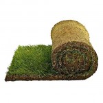 Turfgrass Rolls ATLANTAS Turfgrass Rolls ATLANTAS | kipogeorgiki.live