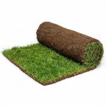 PROMITHEAS Ready Lawn PROMITHEAS Ready Lawn | kipogeorgiki.live