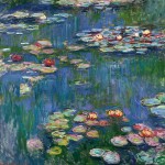 Νούφαρο Κίτρινο (Nymphaea 'Marliacea Chromatella') Φυτό