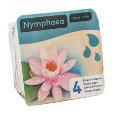 Νούφαρο Ροζ (Nymphaea 'Marliacea Carnea') Υδρόβιο Φυτό