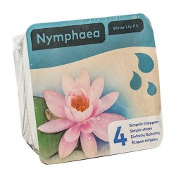 Νούφαρο Ροζ (Nymphaea 'Marliacea Carnea') Υδρόβιο Φυτό